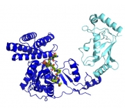 UBIQUITIN LIGASE (E3) ELISA Kit (Ubiquin ligating enzyme; Part hE3UBPL-ELISA)